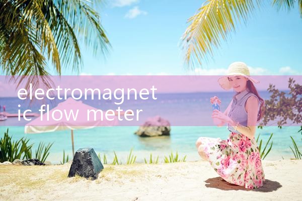 electromagnetic flow meter hard rubber lining|gas flow meter