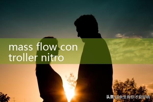mass flow controller nitrogen|flow meter distributor