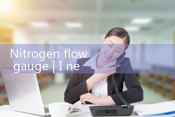 nitrogen flow gauge|flow meter distributor