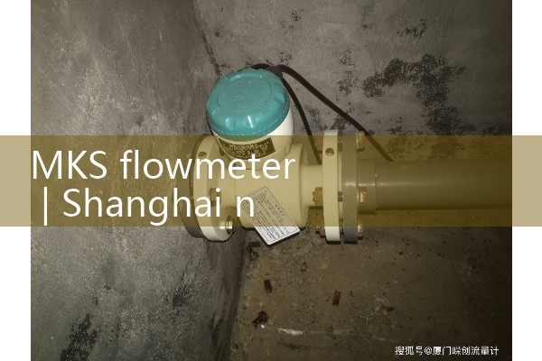 MKS flowmeter