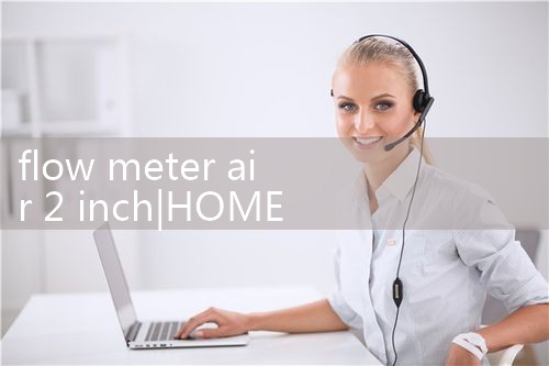 flow meter air 2 inch|balo meter
