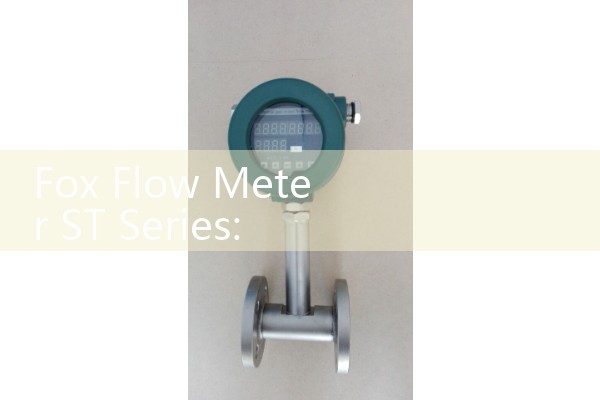 Fox Flow Meter ST Series: Thermal Dispersion Sizing for Industrial Gases and Ventilation Air