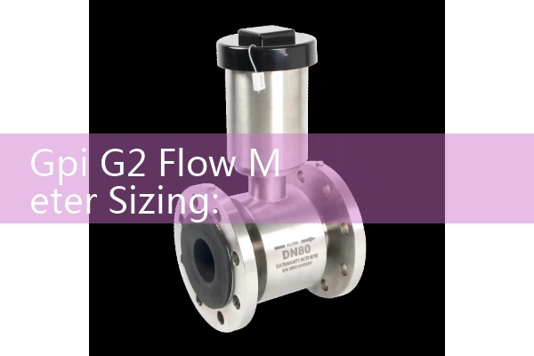 Gpi G2 Flow Meter Sizing: Industrial Precision Sizing Tools for Water, Fuel, and Chemical Skids