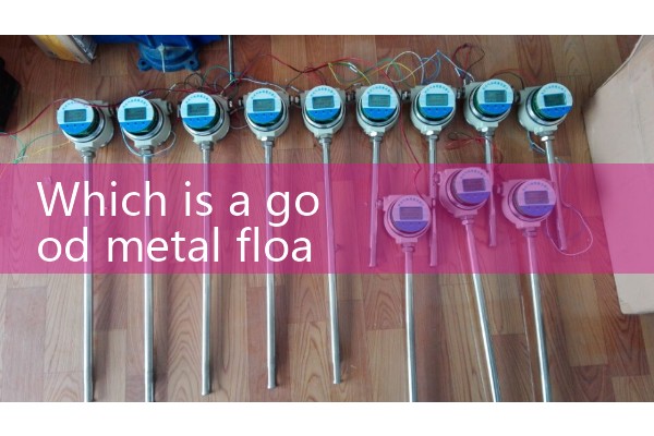 Manufacturer of metal float flowmeter