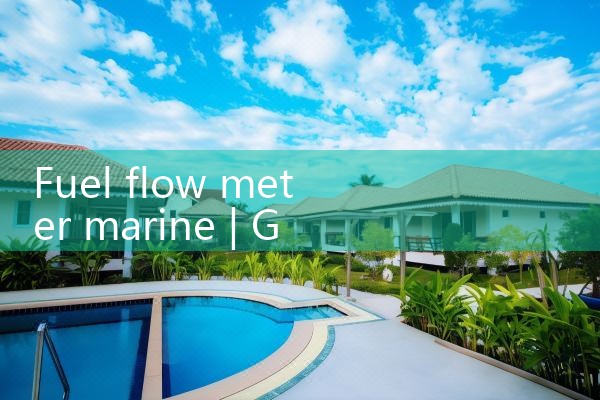 fuel flow meter marine|digital flow meter