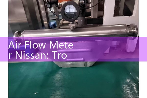Yokogawa electromagnetic flowmeter