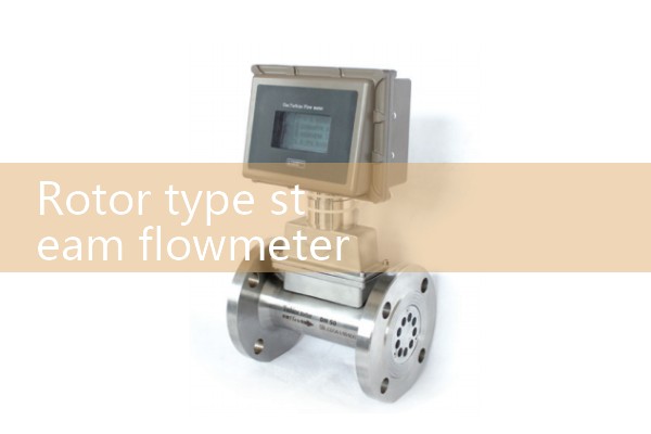 Rotary steam flowmeter