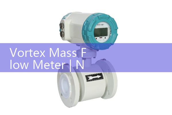 Vortex Mass Flow Meter