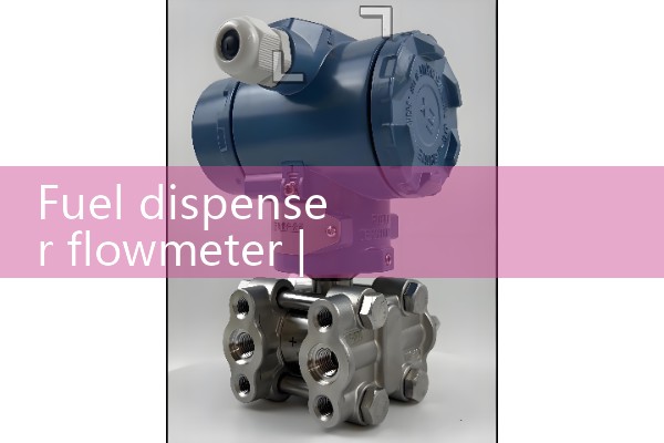 Fuel dispenser flowmeter