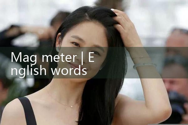 mag meter|rotameter flow meter