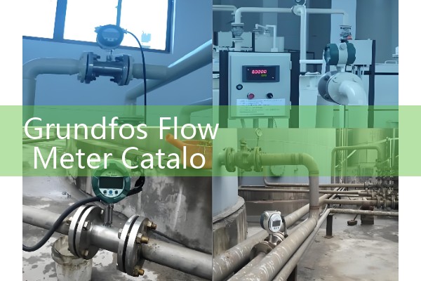 Grundfos Flow Meter Catalog: High-Precision Direct Sensors for Industrial Circulator Pump Loops