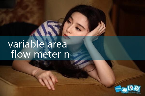 variable area flow meter nitrogen|flow meter distributor