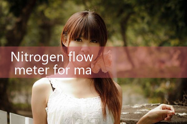 nitrogen flow meter for manufacturing|flow meter distributor