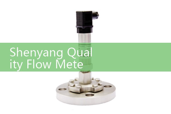 Shenyang Quality Flow Meter Brand