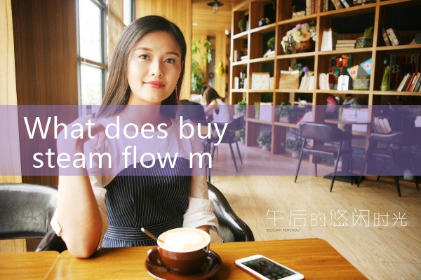 buy steam flow meter|balo meter