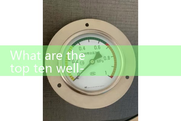 Flow meter manufacturer