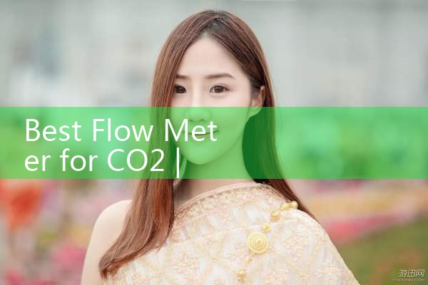 best flow meter for CO2|thermal flow meter