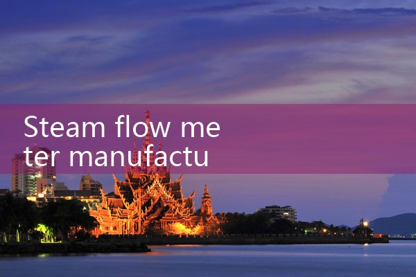 steam flow meter manufacturer|balo meter