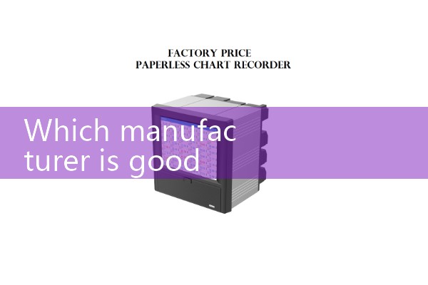 Which manufacturer is good for vortex flowmeter