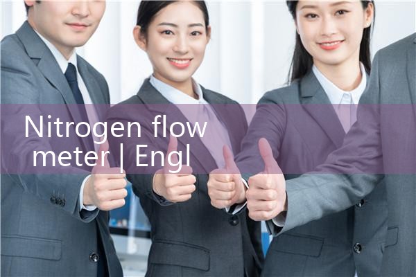 nitrogen flow meter|thermal flow meter
