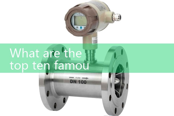 Electronic gas flowmeter