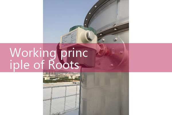 Working principle of Roots flowmeter