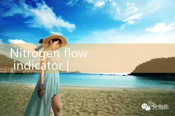 nitrogen flow indicator|flow meter distributor