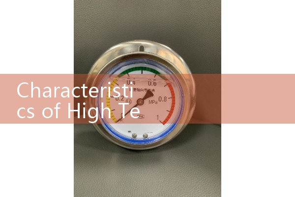High temperature water flow meter