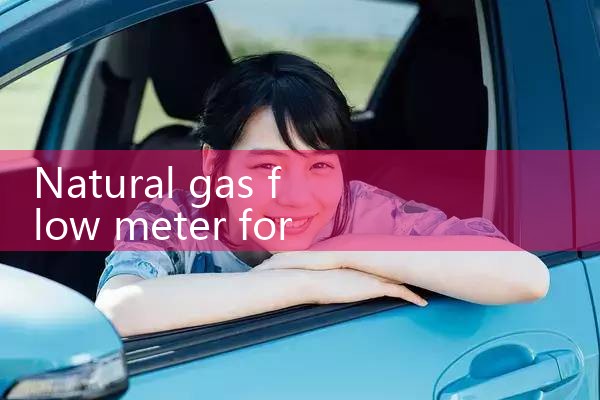 natural gas flow meter for power plant|balo meter