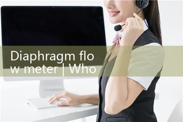 diaphragm flow meter|digital flow meter