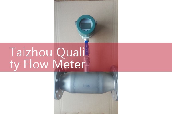 Taizhou Quality Flow Meter Wholesale Manufacturer