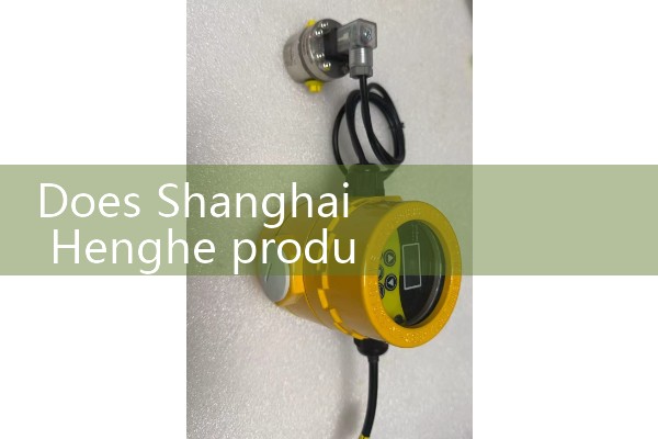 Yokogawa Mass Flow Meter