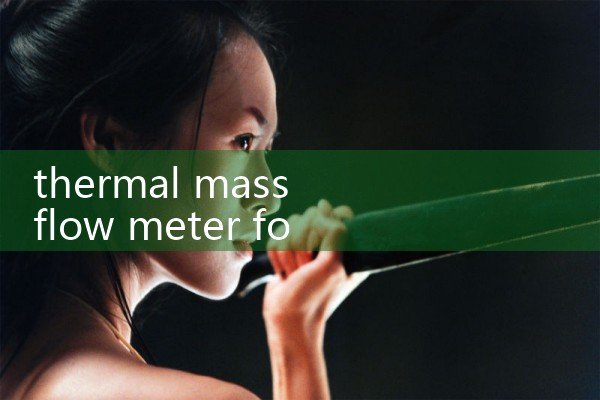 thermal mass flow meter for biogas|flow meter distributor