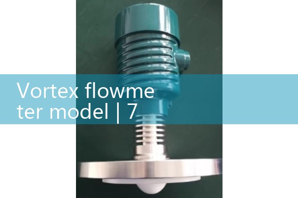 Vortex flowmeter model