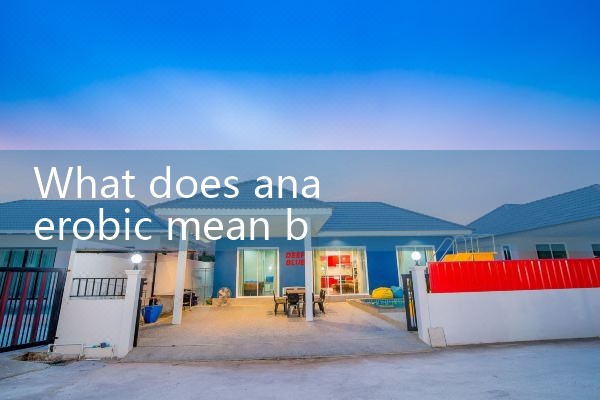 flow meter for anaerobic digestion|digital flow meter