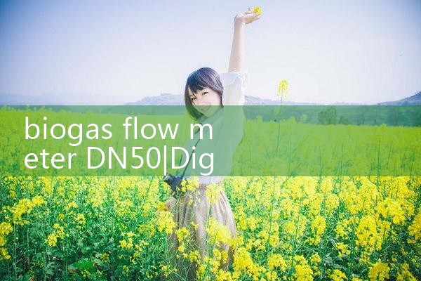 biogas flow meter DN50|flow meter distributor
