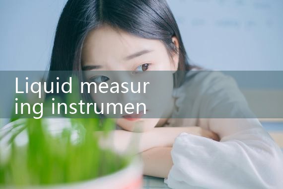 liquid metering instruments|thermal flow meter