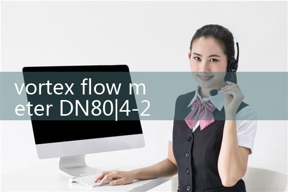 vortex flow meter DN80|mass flow meter