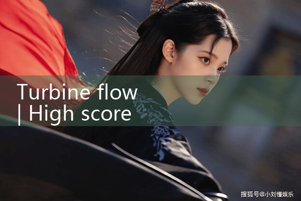 turbine flow|thermal flow meter