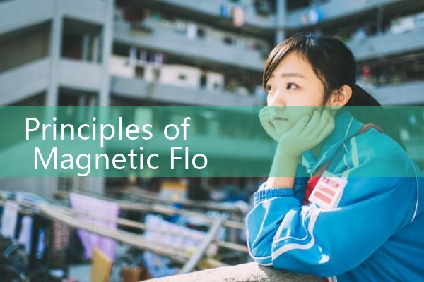 magnetic flow meter principle|gas flow meter