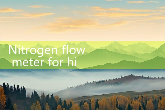 nitrogen flow meter for high purity gas|flow meter distributor