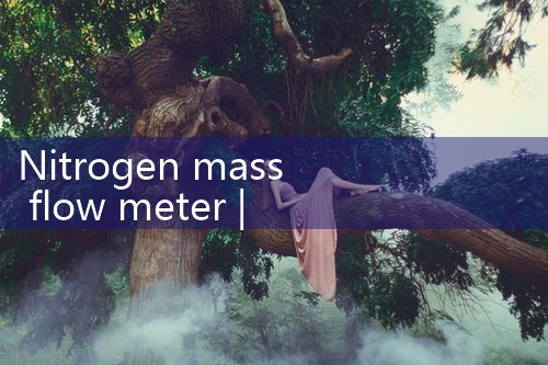 nitrogen mass flow meter|flow meter distributor