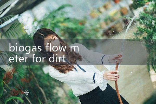 biogas flow meter for dirty gas|flow meter distributor