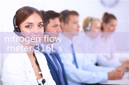 nitrogen flow meter 316L stainless steel|flow meter distributor