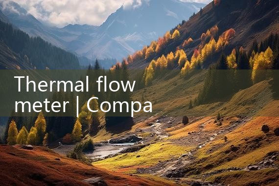 thermal flow meter|digital flow meter