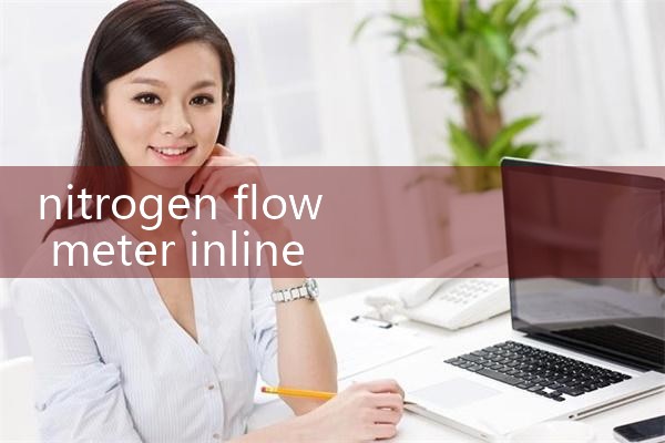 nitrogen flow meter inline|flow meter distributor