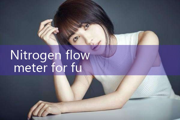 nitrogen flow meter for furnace|flow meter distributor