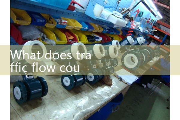 Shanghai Micro Mass Flow Meter