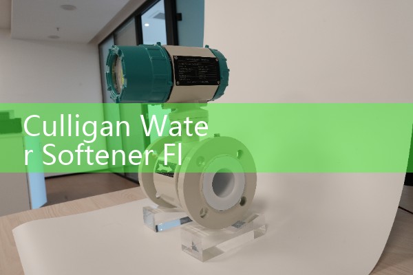 Culligan Water Softener Flow Meter Replacement: Step-by-Step Valve Maintenance