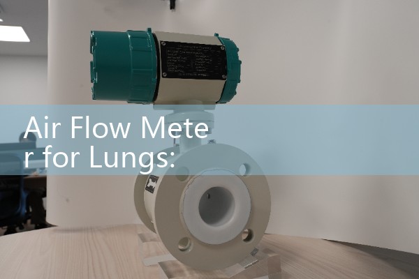 Air Flow Meter for Lungs: Clinical Portable Respiratory Capacity Devices